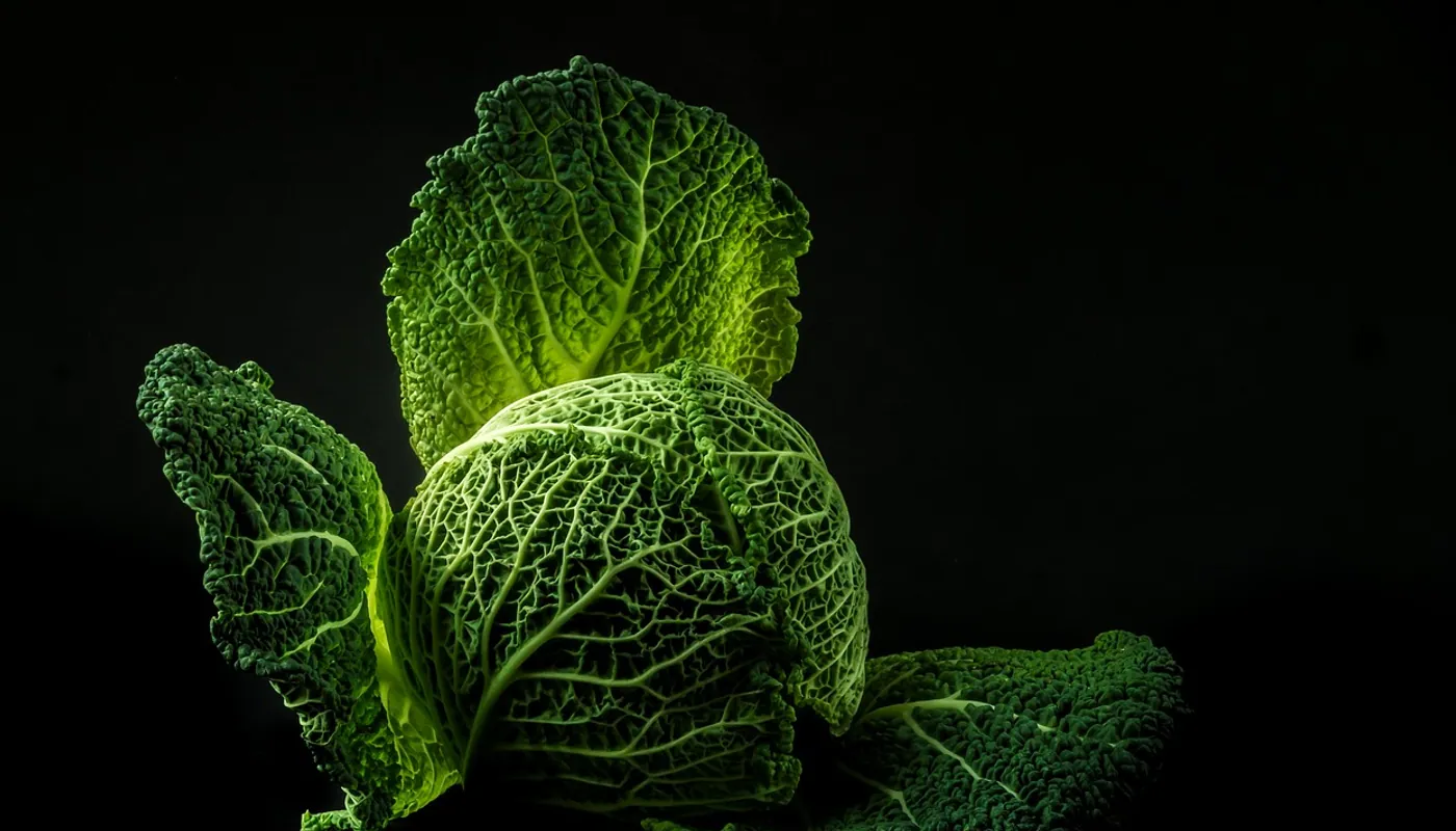 Vegetable, cabbage and green