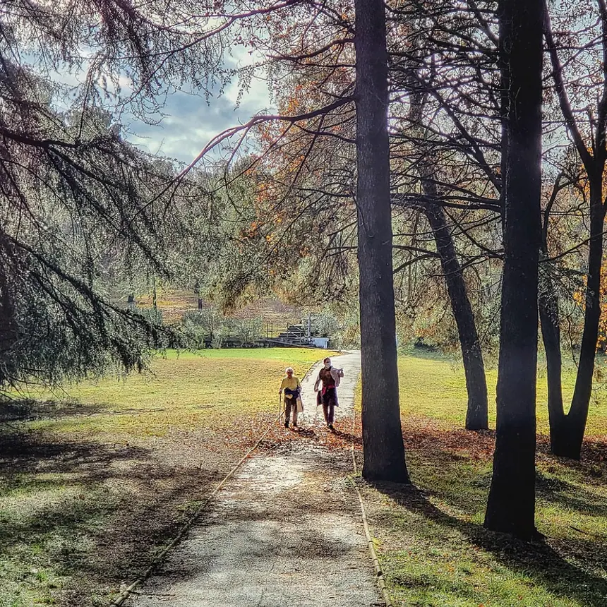 Autumn walk, nordic walking and forest path